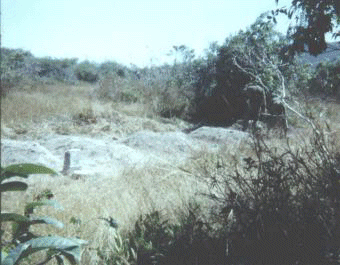 Viet Cong graves