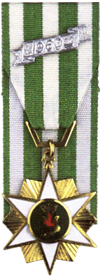 Vietnamese Campaign Medal